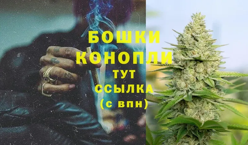 Бошки марихуана OG Kush  что такое   Пушкино 